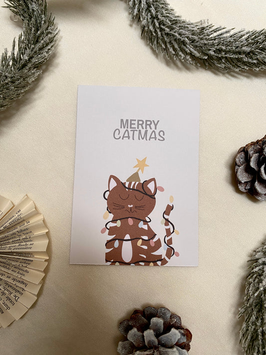 Carte pour offrir de l'argent Merry Catmas